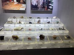 -湖南省地质博物馆