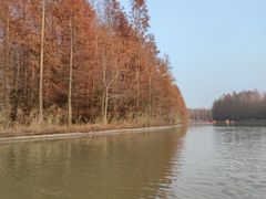 -上海海湾国家森林公园