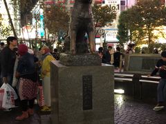 -涩谷区
