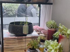 -街角 T·COFFEE 融合料理·BISTRO(车公庙店)