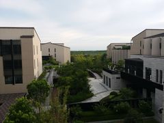 -上海崇明金茂凯悦酒店