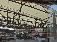 -移动谜城·大笨象密室逃脱(五棵松店)