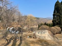 -棒棰岛宾馆景区