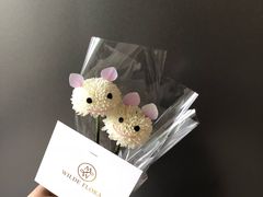 -王尔德与花
