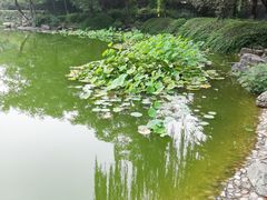 -木塔寺遗址生态公园
