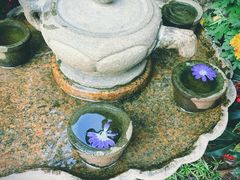 -三溪村