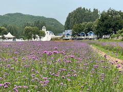 -紫海香堤香草艺术庄园