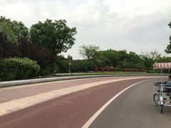 -武清南湖绿博园