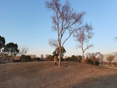 -石湖景区