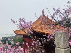 -南沙天后宫景区