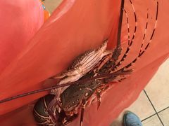 -班赞海鲜市场