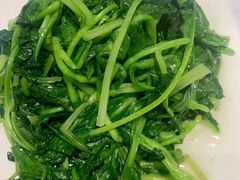 清炒鸡毛菜-19号私房菜(云南路店)