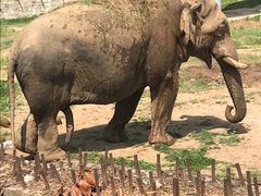 -西安秦岭野生动物园