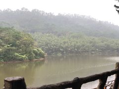 -滴水岩森林公园