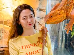 -帕帕拉兹宠物(亚洲旗舰店)