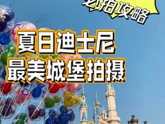 -上海迪士尼度假区