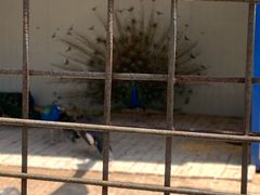 -山西乌金山旅游区