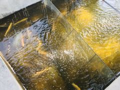 -北京龙庆四季香农家饭庄·灶台鱼·碳烤虹鳟鱼(龙庆峡店)