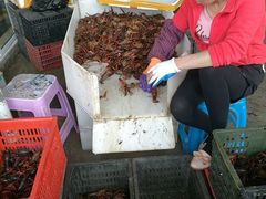 -江杨农产品批发市场