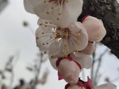 -迎泽公园