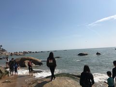 -碧海金沙