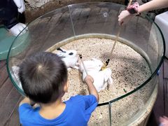 -正佳雨林生态植物园