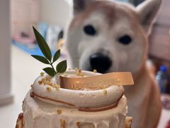 -味多美蛋糕(洋桥店)