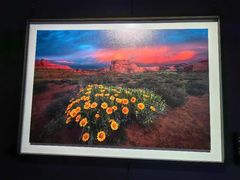 -罗红摄影艺术馆