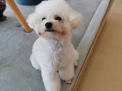 -喵宠乐园·撸猫互动·猫舍