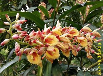 广州仁义咏春拳馆 东山国术馆 越秀区