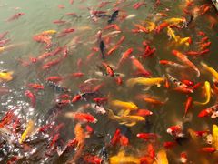 -泰安地下龙宫景区