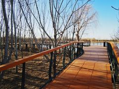 -东郊湿地公园
