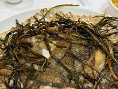 -老吉士酒家(天平路店)