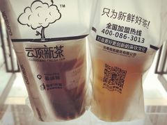 芝士奶云乌龙-云顶新茶(中洲店)