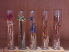 -左悦·艾灸调理·推拿按摩·精油SPA(卓悦汇店)