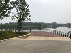 -东郊湿地公园