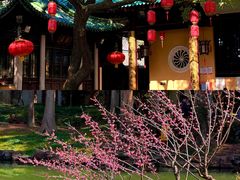 -无锡梅园公园