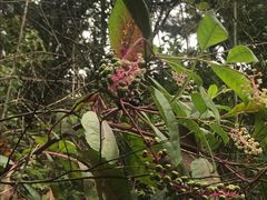 -敬亭山风景名胜区