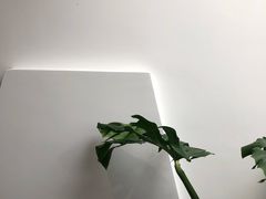 -素咫咖啡CLIFEROSE