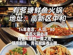-CGV影城(壹方城IMAX店)