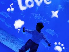 -波塞冬海底世界