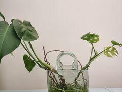 -十一咖啡(青年大街工厂店)