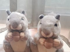-九里云松·天香餐厅