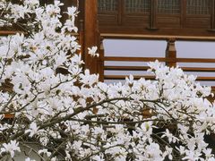 -径山寺