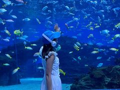 -海合安成都极地海洋公园