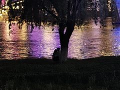 -武昌江滩