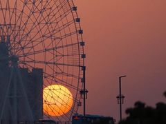 -朝阳公园