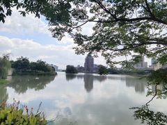 -眉山湿地公园(东坡区)
