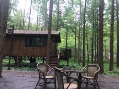 -黄海国家森林公园