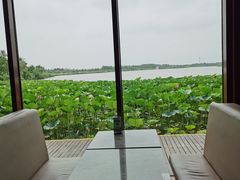 -东滩湿地公园观海楼餐厅